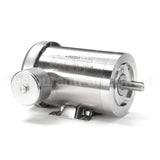 121880 Leeson Motor