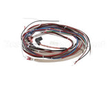 1221 Royal Range Wire Harness For Rr-C