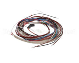 1221 Royal Range Wire Harness For Rr-C