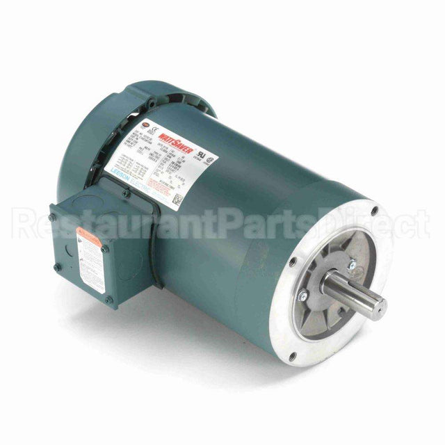 122167 Leeson Motor