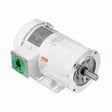 122185 Leeson Motor
