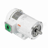 122185 Leeson Motor