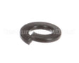 1226 Globe Lockwasher