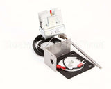 123177 Groen Kit, Hi-Limit W/Manual Reset