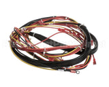 123779 Groen Harness, Wiring-Kettle Control