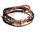 123779 Groen Harness, Wiring-Kettle Control