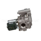 123815 Groen Valve, Gas Johnson Controls