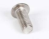 1239 Globe Screw