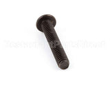 12499.0002 Bunn Screw,Rdh Sltd Blk .25-20X1.50