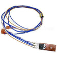 12527.000099999999 Compatible Bunn Triac
