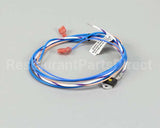 12565.0002 Bunn Triac Assembly, 40 Amp(H5/Sysiii)