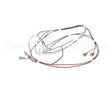 12576.0008 Bunn Wiring Harness, H5 Dgtl Dspl 208V/240V