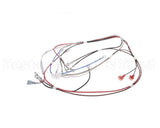 12576.0008 Bunn Wiring Harness, H5 Dgtl Dspl 208V/240V