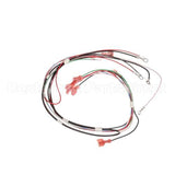 12576.0013 Bunn Wiring Harn, 240V Eca On/Off Sw