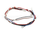 12576.0017 Bunn Wiring Harness, Main H5X Element (Food)