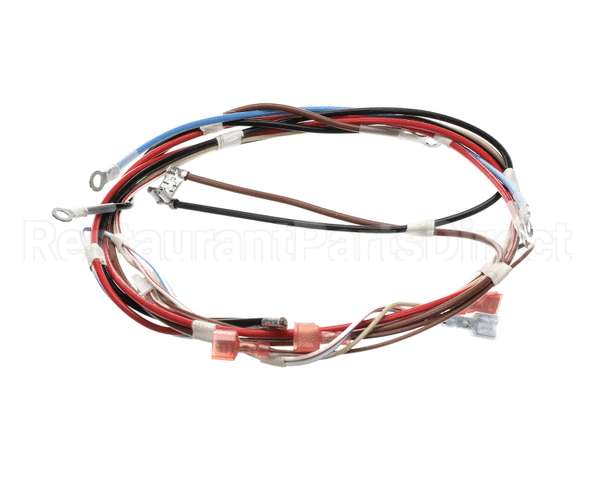 12576.0017 Bunn Wiring Harness, Main H5X Element (Food)