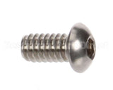1258 Globe Screw