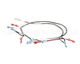 125853 Groen Harness, Power 24 Vac