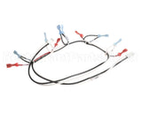 125853 Groen Harness, Power 24 Vac