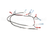 125853 Groen Harness, Power 24 Vac