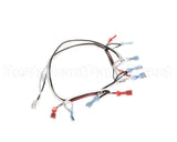 125853 Groen Harness, Power 24 Vac