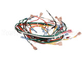 127748 Groen Harness, Wiring, Main, Hfp/2E