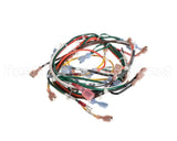 127748 Groen Harness, Wiring, Main, Hfp/2E