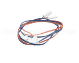 127777 Norlake Sensor Evap Tf231-492-723