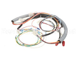 12A763 Ultrafryer Harness Wiring Central W/18A04