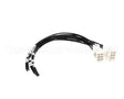 12B969 Ultrafryer Cable, Cont To Element W/O Fus