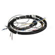 12C381 Compatible Ultrafryer Cable Main Fm Eu Basic