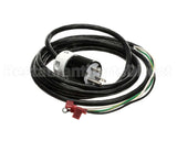 130008-02 Globe Power Cord, 60Hz
