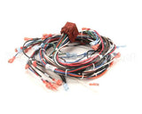 130399 Groen Harness, Control