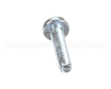 13041507 Amana Menumaster Screw-Tf/Pan Torx