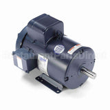 131549 Leeson Motor