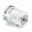 132201 Leeson Motor