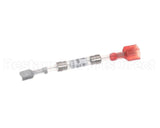 13735SB020 Winston Cat In-Line Fuse