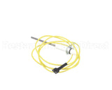 1380679 International Comfort Pro Sensor Flame Hsi Sb