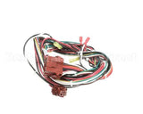 140567 Groen Harness, Lower Cavity Control