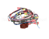 141836 Groen Harness, Control Hy-5G