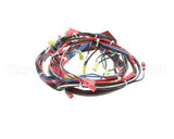 141836 Groen Harness, Control Hy-5G