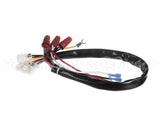 142-000019-001 Ultrafryer Wire Harness