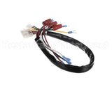 142-000019-001 Ultrafryer Wire Harness