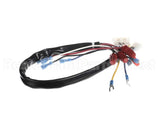 142-000019-001 Ultrafryer Wire Harness