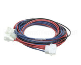 14560S020 Winston Secondary Harness