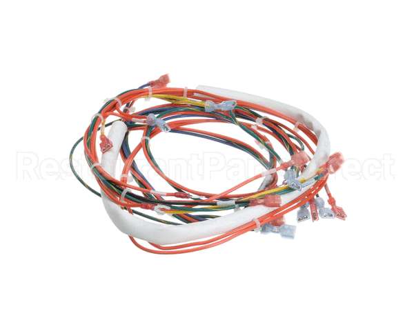 146191 Groen Wire Harness,Control Low Voltage, Gas