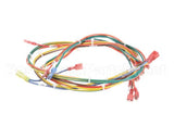 146197 Groen Wire Harness-Electric Tilt, Low Voltage