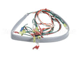 148503 Groen Wiring Harness, Controls Ee-20, 40