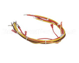 148504 Groen Wiring Harness, High Voltage Ee-20, 40