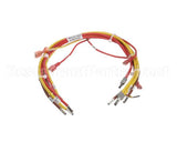 148504 Groen Wiring Harness, High Voltage Ee-20, 40